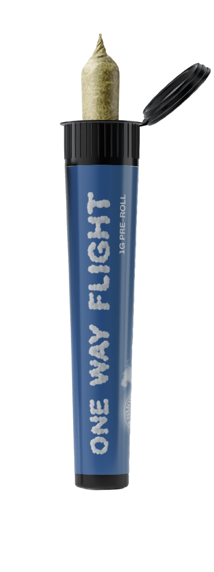 ONE WAY FLIGHT product photo